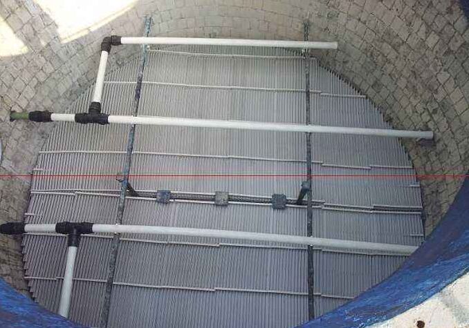 Ó�������F���S��ֱ�N